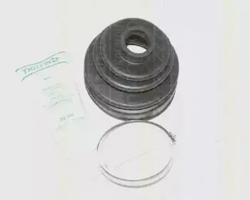 triscan-854040806