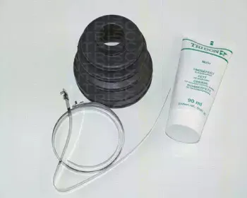 triscan-854040902