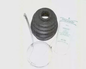 triscan-854040905