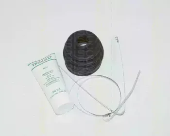 triscan-854041802