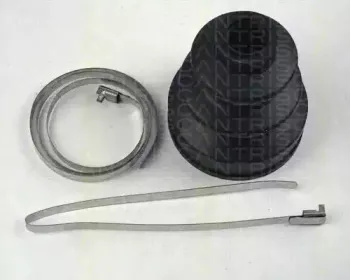 triscan-854041901
