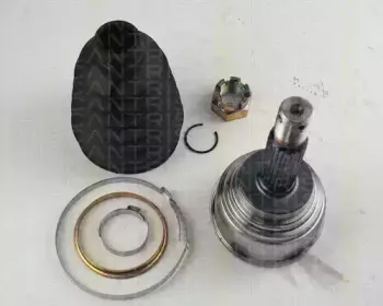 triscan-854042121