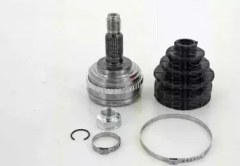 triscan-854042125