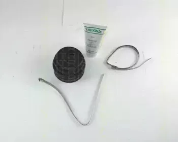 triscan-854042802