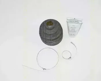 triscan-854050805
