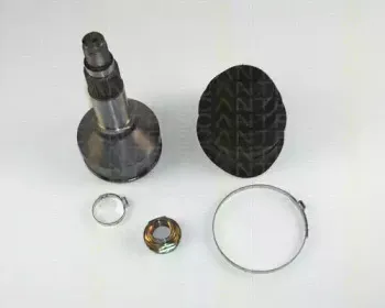 triscan-854065104