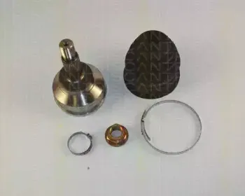 triscan-854065106