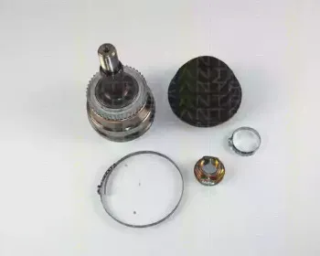 triscan-854065113