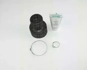triscan-854065905