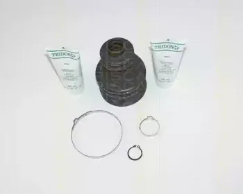 triscan-854065906