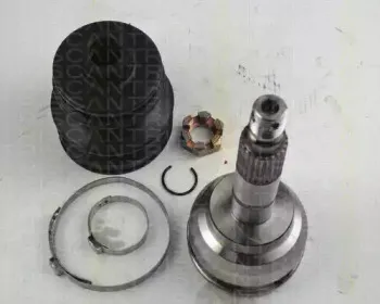 triscan-854068109