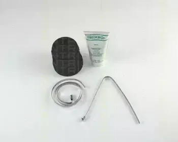 triscan-854068903
