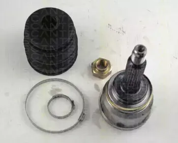 triscan-854069112