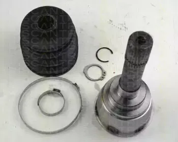 triscan-854069113