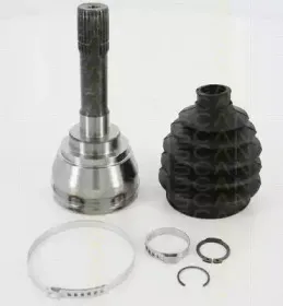 triscan-854069121