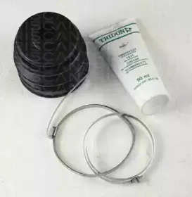 triscan-854069801