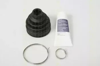 triscan-854069804