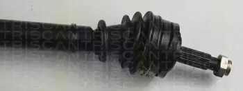 triscan-854070502
