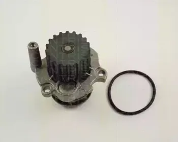 triscan-860029026