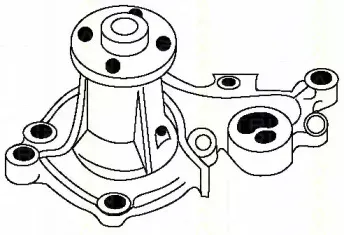 triscan-860069943