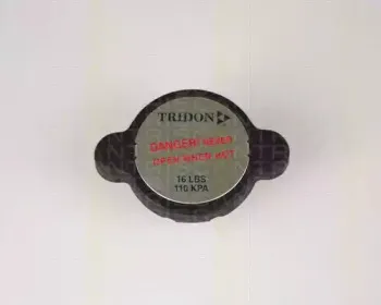 triscan-86105