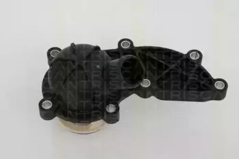 triscan-862021688