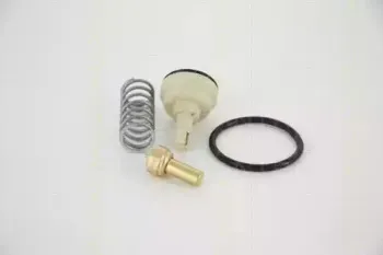 triscan-862034487