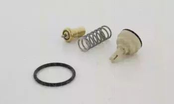 triscan-862038287