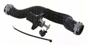 triscan-862039989