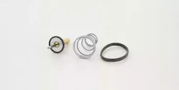 triscan-862043988