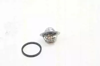 triscan-86207691
