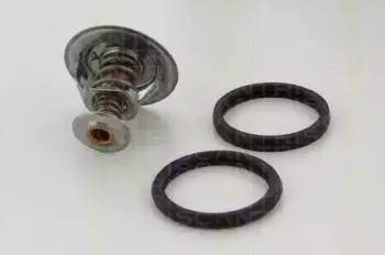 triscan-86208482
