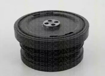 triscan-864311004