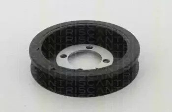triscan-864324006