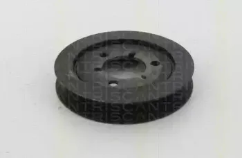 triscan-864328014