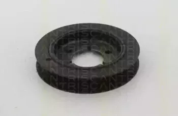 triscan-864328014