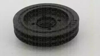 triscan-864342001