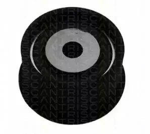 triscan-864624210