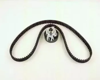 triscan-864729019