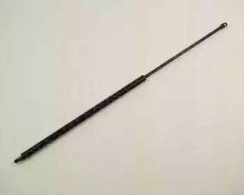 triscan-87101004