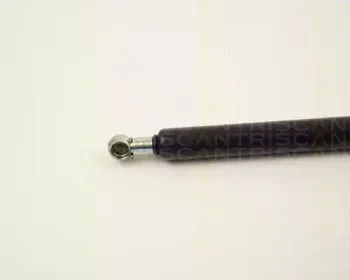 triscan-87101010