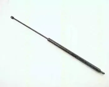 triscan-87101011