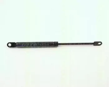 triscan-87101101