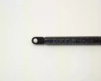 triscan-87101101