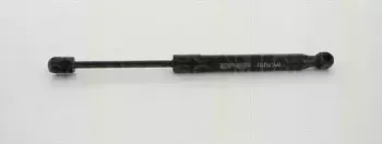 triscan-871011128