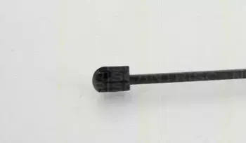 triscan-871011128