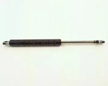 triscan-871011203