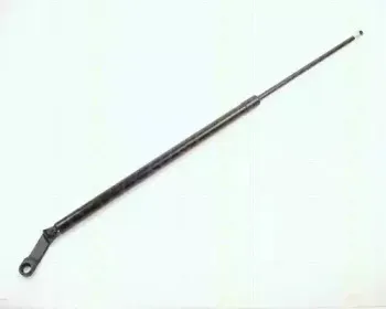 triscan-871011206
