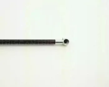 triscan-871011206