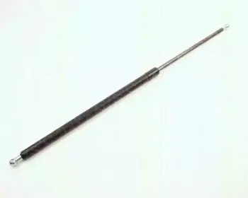 triscan-871011215
